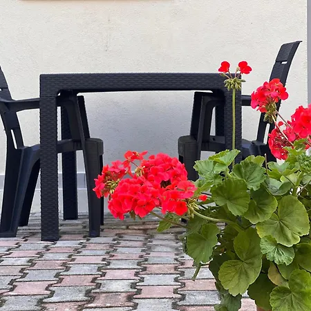 Apartmán Me Qera Golem (Tirana)